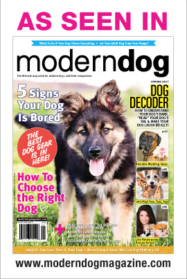 As seen in Modern Dog maga