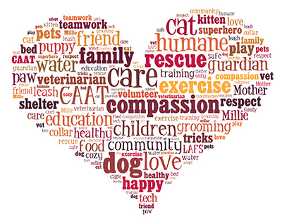 Compassion for animals