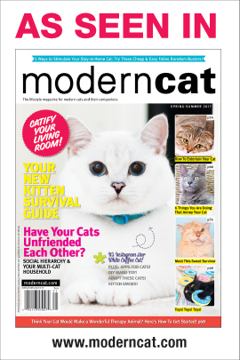 Nobody's Cats in Modern Cat