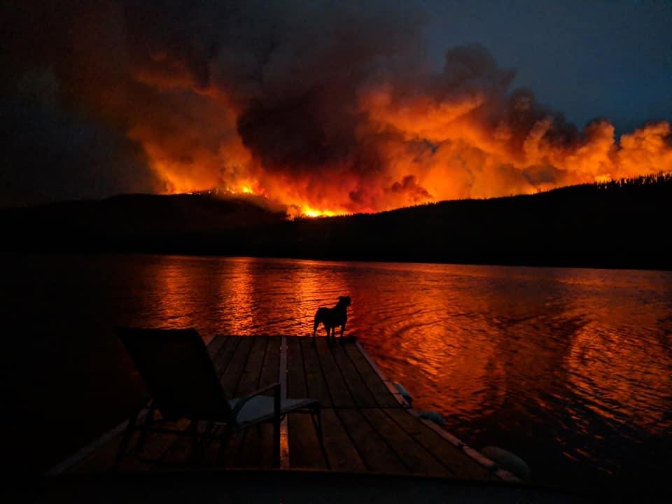 Burns Lake Wildfires – Help the Animals Today!