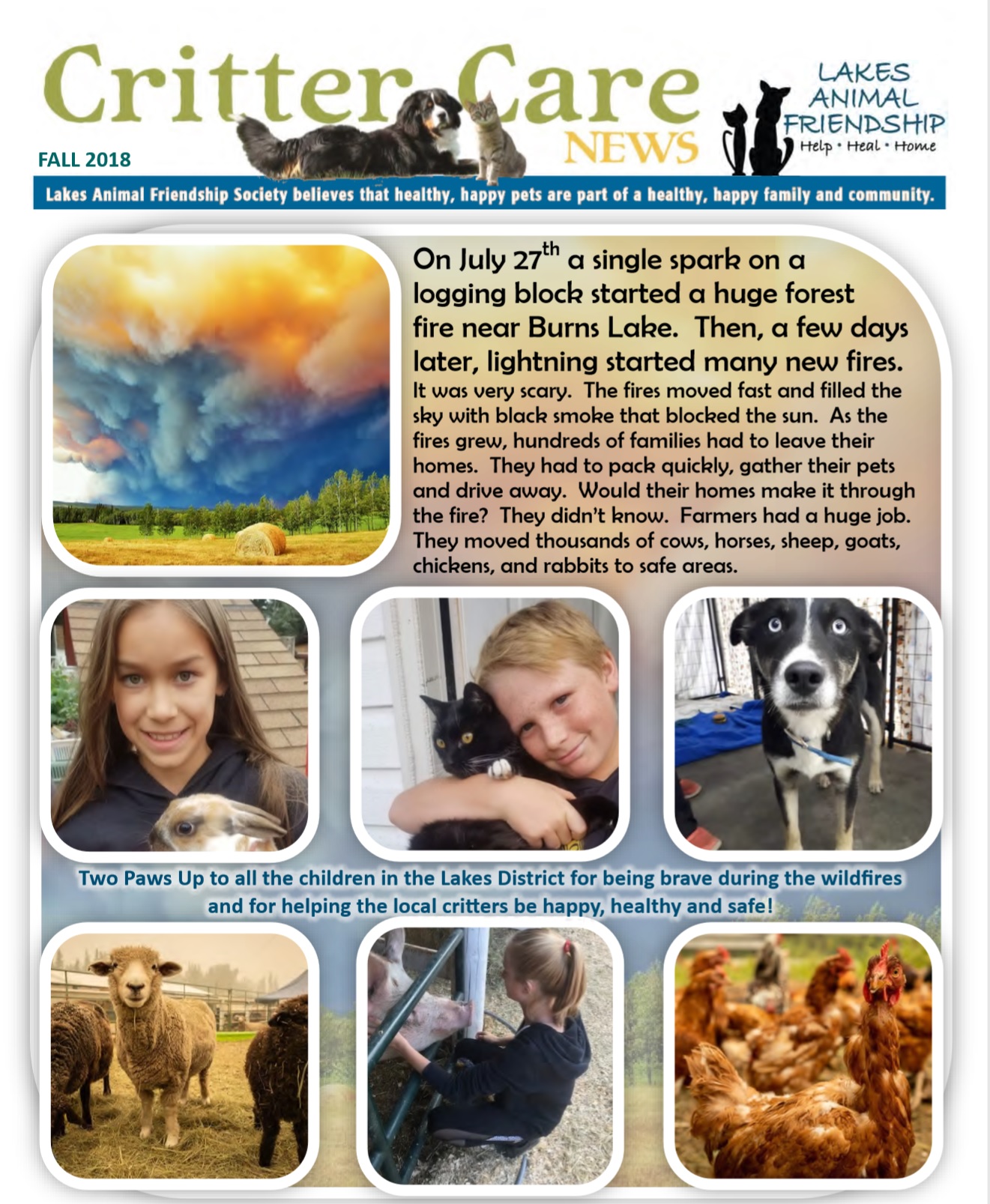 Fall 2018 Newsletter and FREE KINDLE BOOKS!