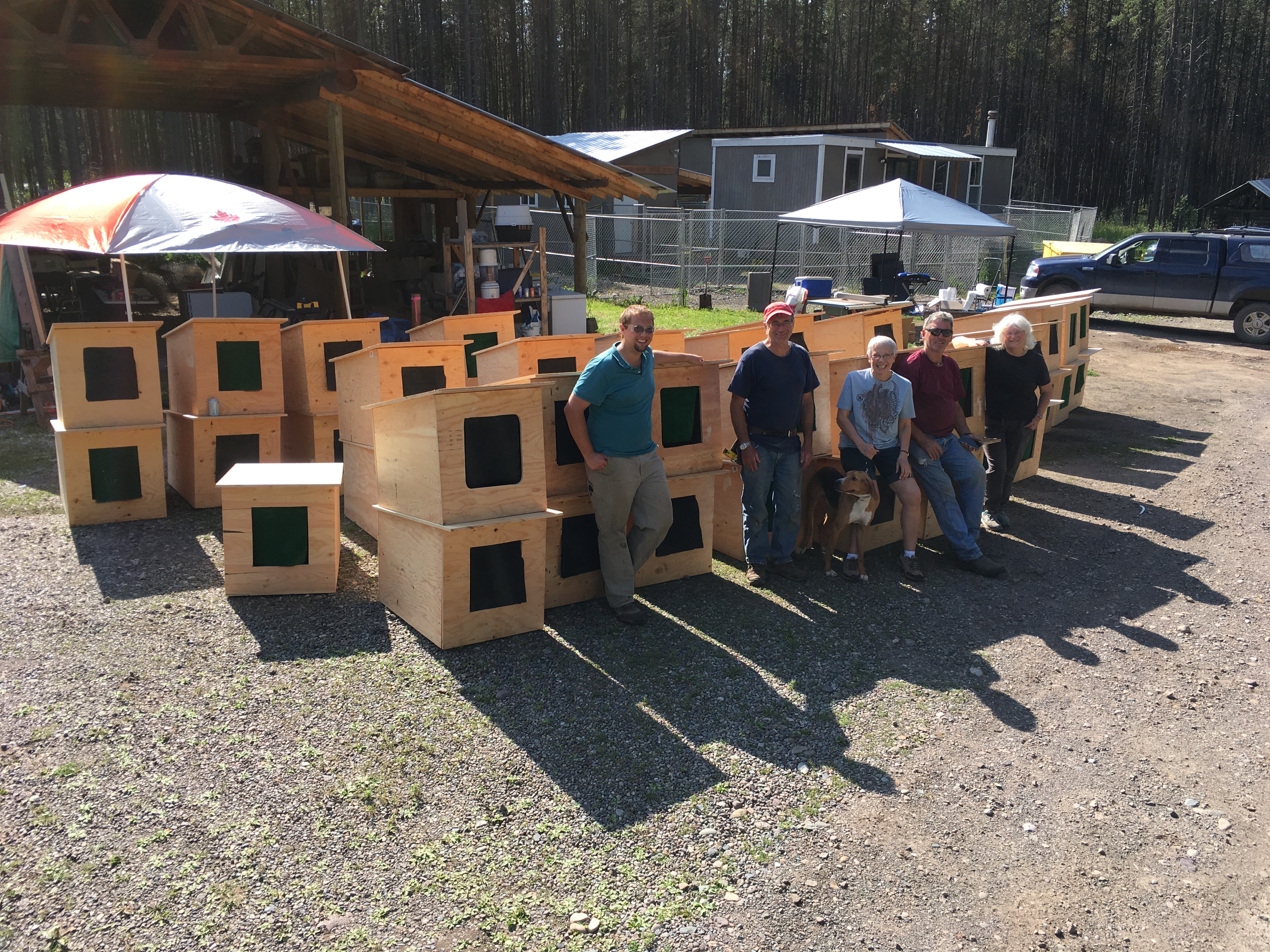 3 Groups, 1 Day, 45 Dog Houses!