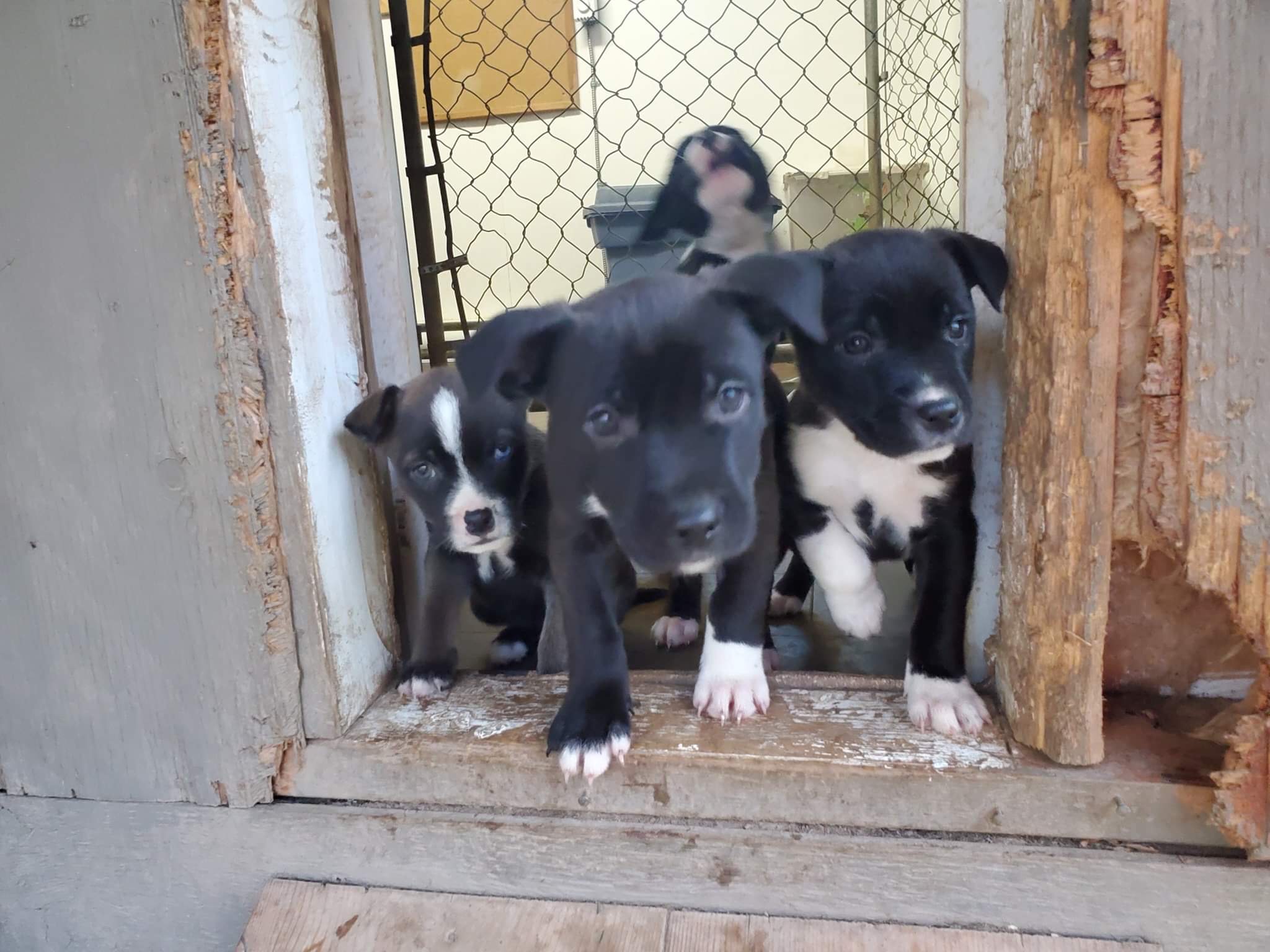 Joyous Year End News!!!