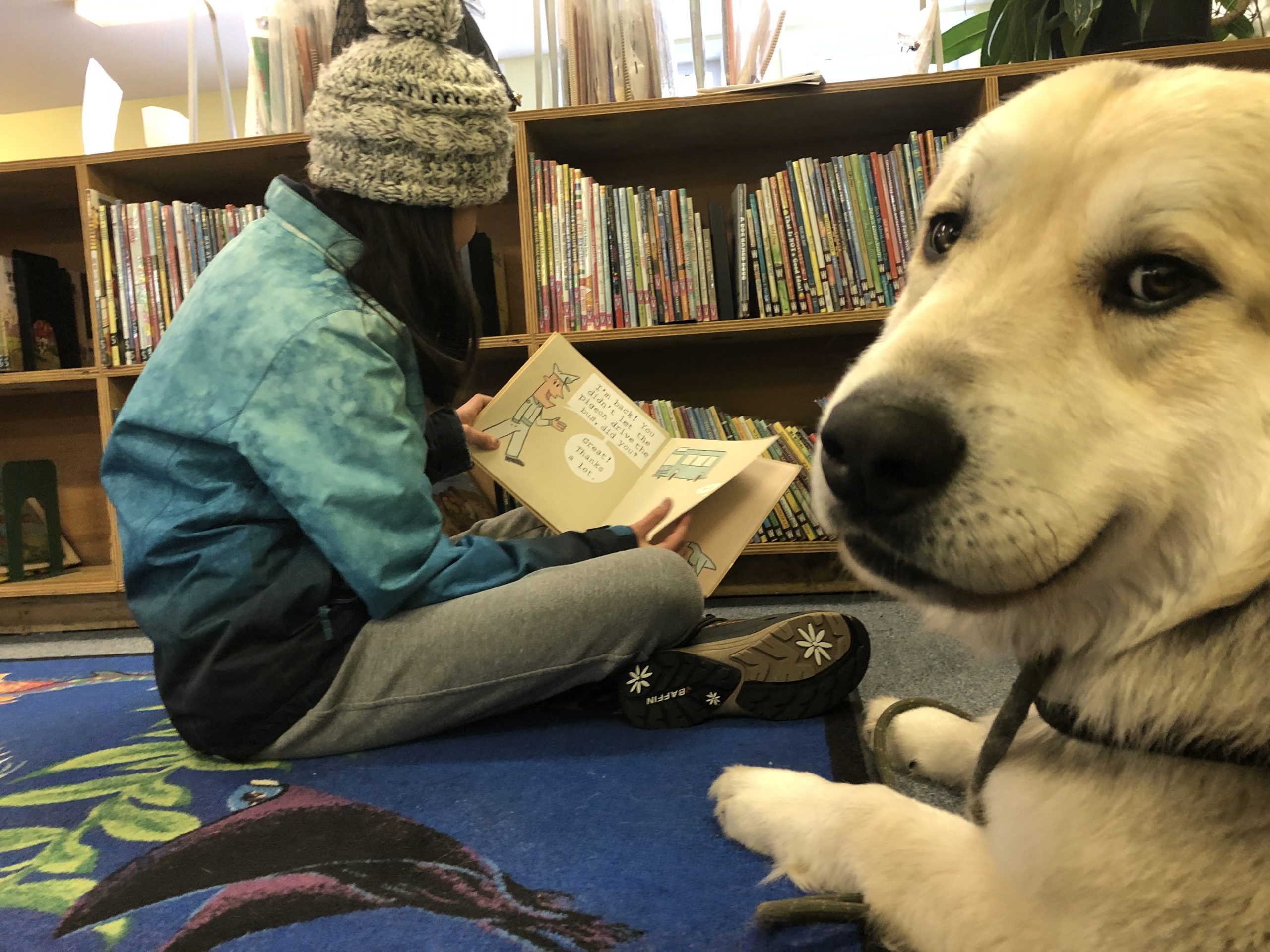 We are still here to help!